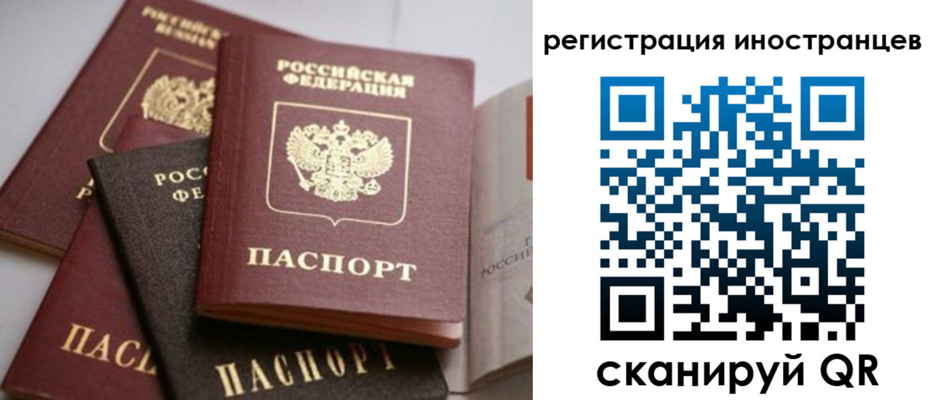 форма 3 в Тайге